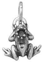 Charm Giovanni Raspini Charms in Argento 10921 - 10921